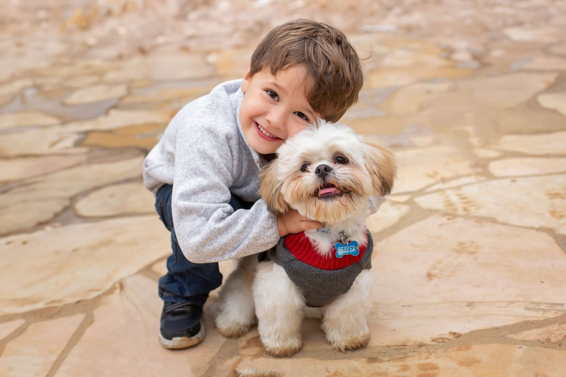 Little boy and his best friend puppy shi-tzu posing during professional photography session at Moments By T Franklin Tennessee