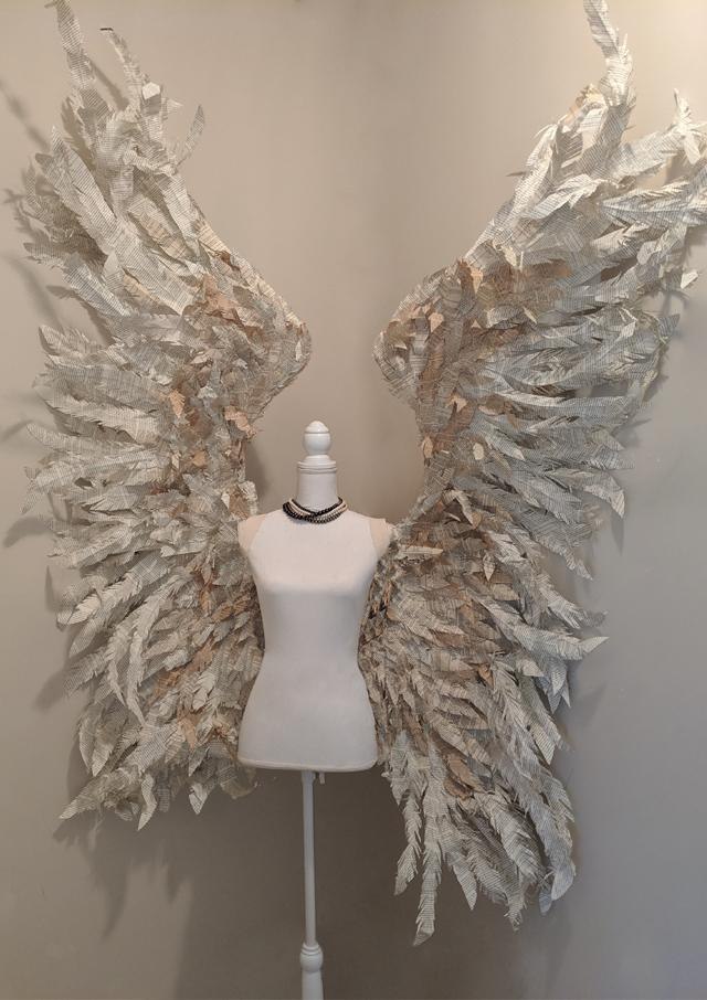 Novel Wings