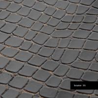 Snake 35