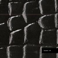 Snake 18