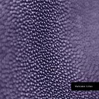 Vulcano Lilac